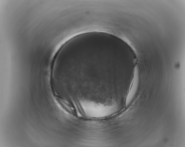 X0000089881508200707262159