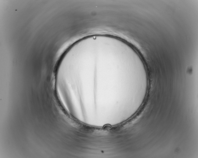 X0000089881509200707262159