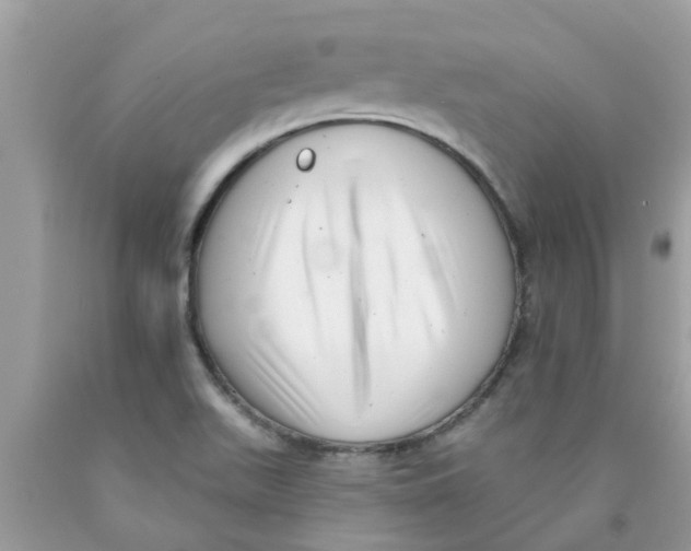 X0000089881511200707262159