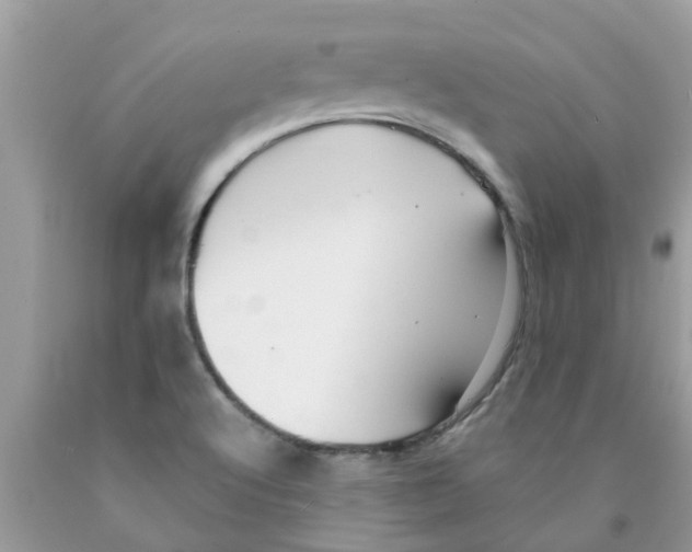 X0000089881512200707262159