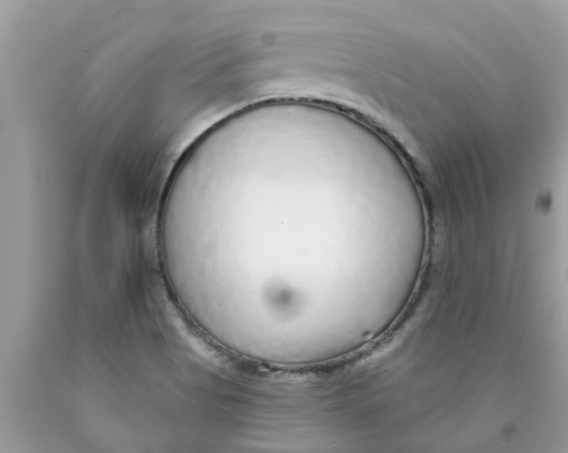 X0000089881513200707262159