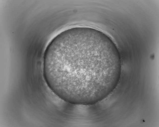 X0000089881514200707262159