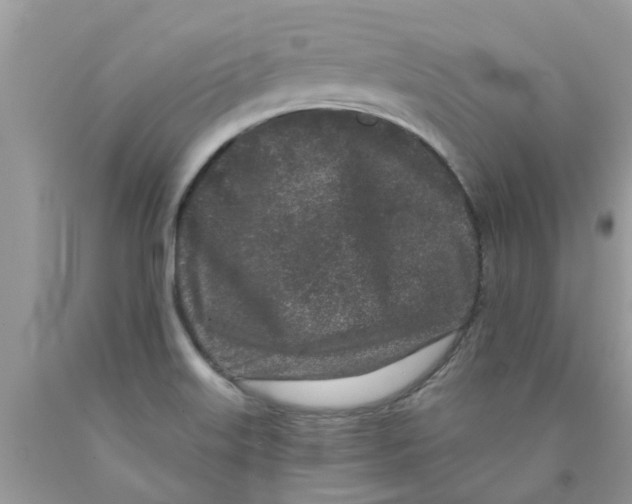 X0000089881515200707262159