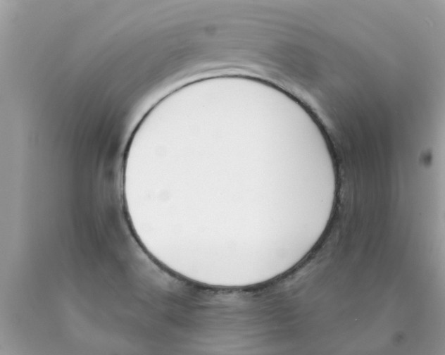 X0000089881516200707262159