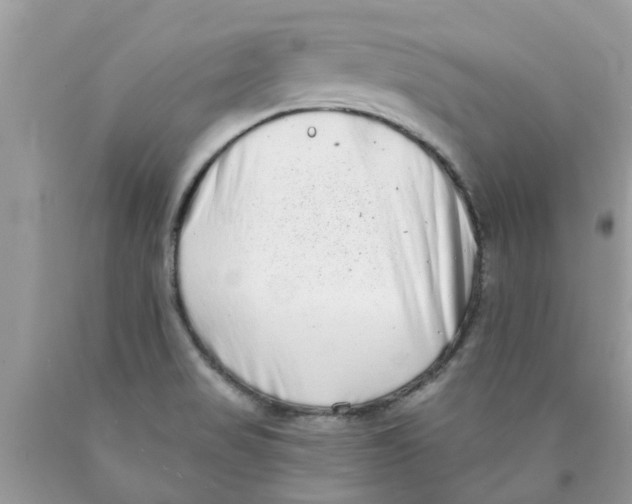 X0000089881517200707262159