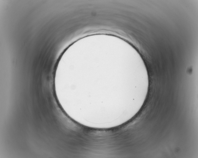 X0000089881518200707262159