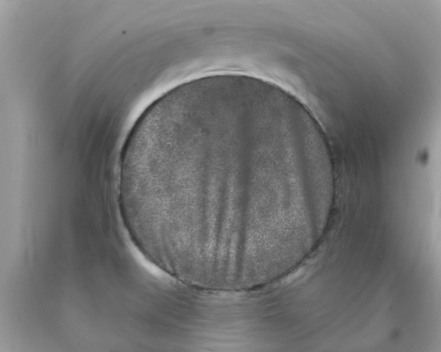 X0000089881519200707262159