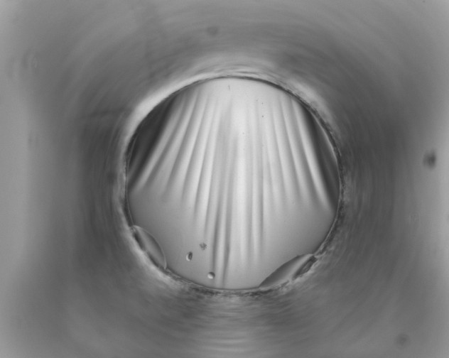 X0000089881520200707262159