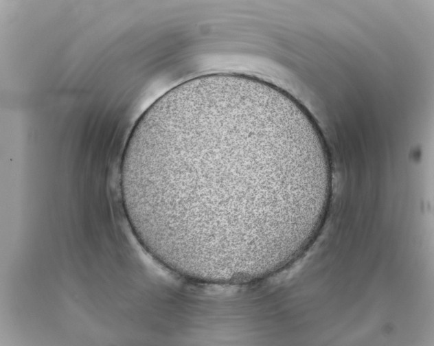 X0000089881521200707262159