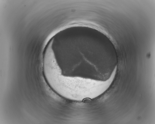 X0000089881522200707262159