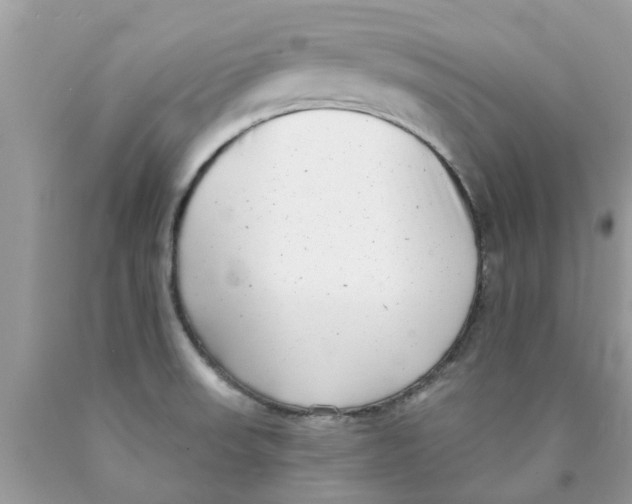 X0000089881523200707262159