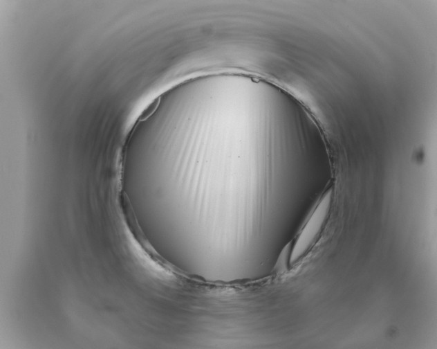 X0000089881524200707262159