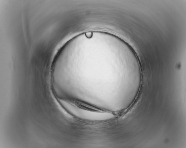 X0000089881525200707262159