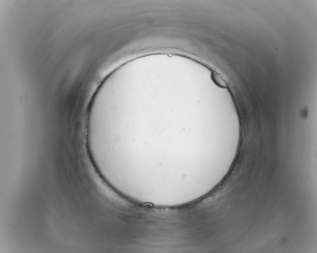 X0000089881526200707262159