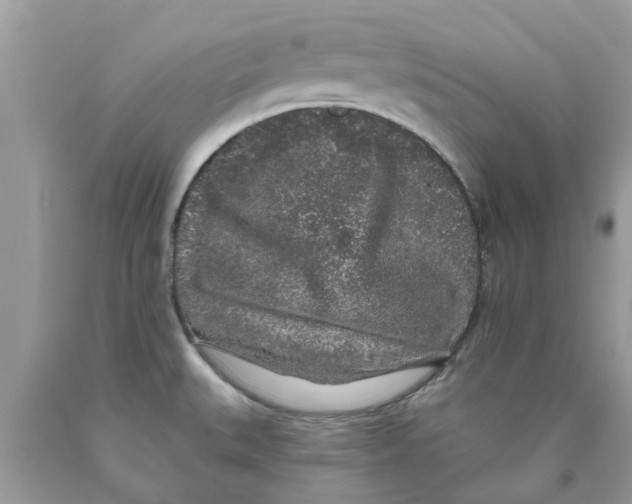 X0000089881527200707262159