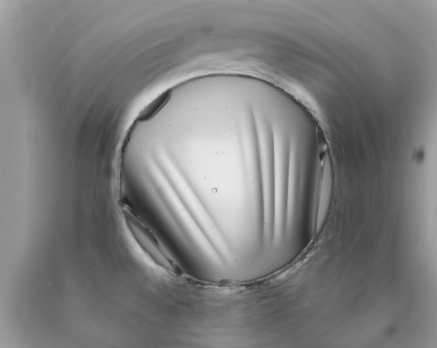 X0000089881528200707262159