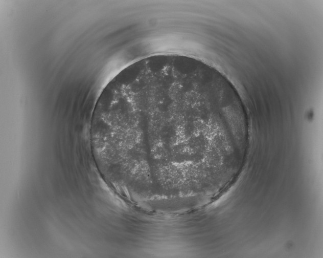 X0000089881529200707262159