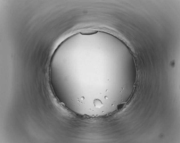 X0000089881530200707262200