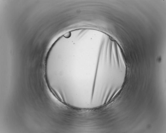 X0000089881531200707262200