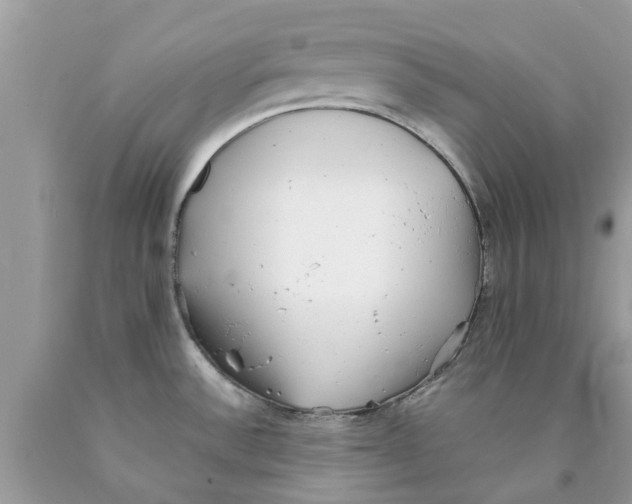 X0000089881532200707262200