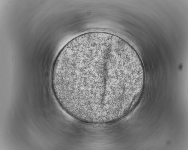X0000089881533200707262200
