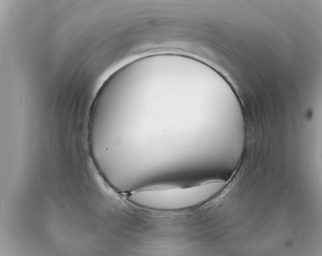 X0000089881534200707262200