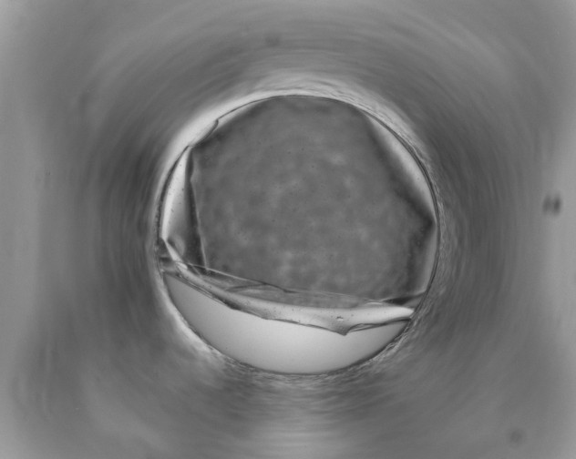 X0000089881536200707262200