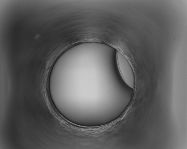 X0000089890001200706281120