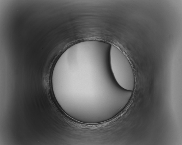 X0000089890002200706281120