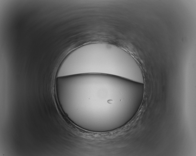 X0000089890003200706281120