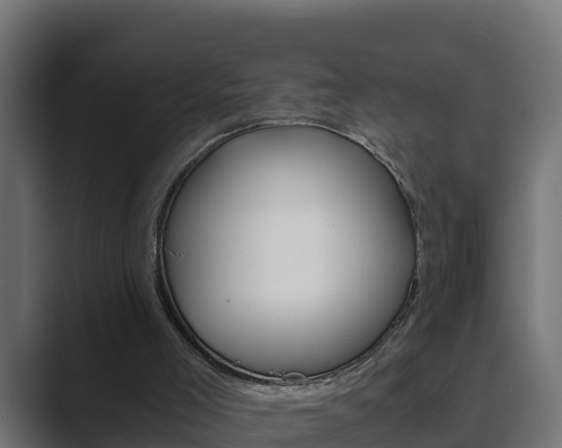 X0000089890005200706281120