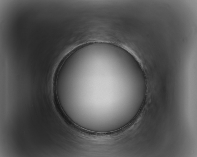 X0000089890008200706281120
