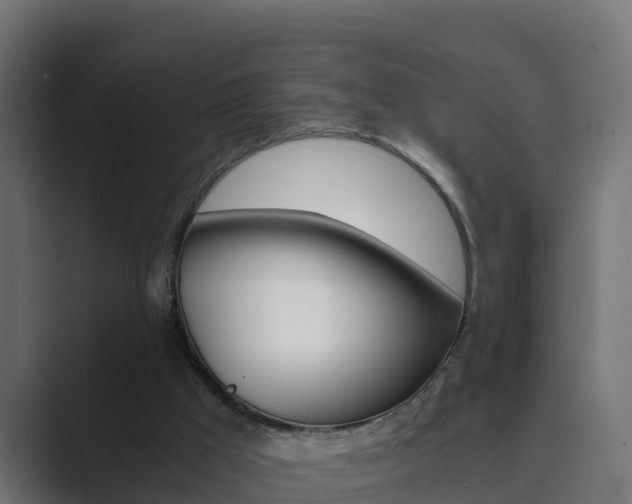 X0000089890009200706281120