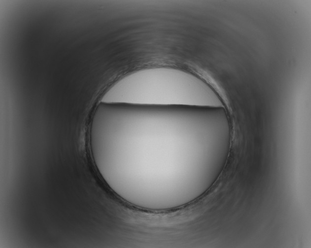 X0000089890010200706281119