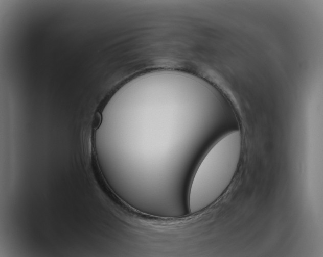 X0000089890011200706281119
