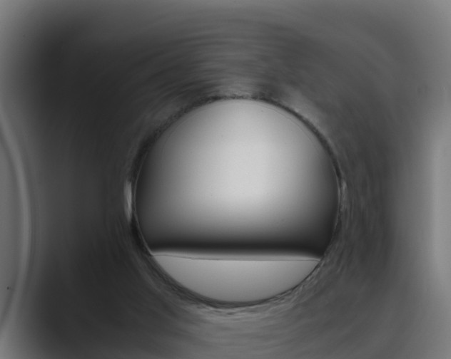 X0000089890013200706281119