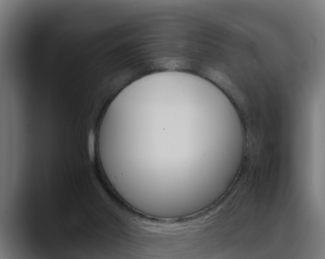 X0000089890014200706281119