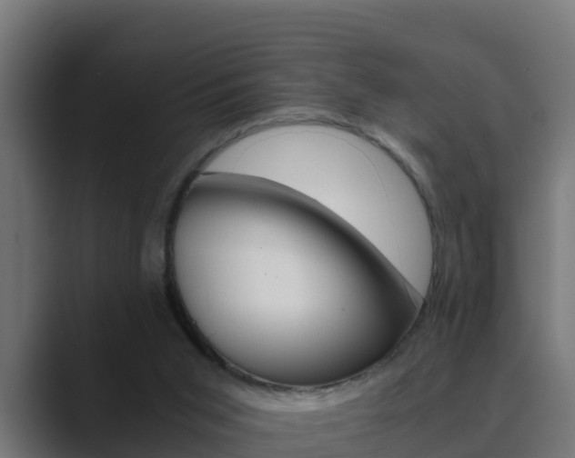 X0000089890015200706281119