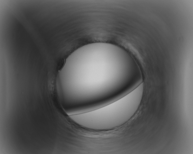 X0000089890017200706281119