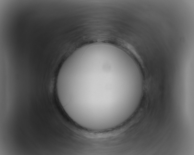 X0000089890018200706281119