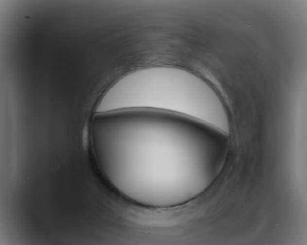 X0000089890019200706281119