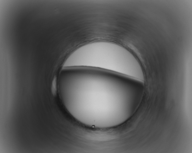 X0000089890020200706281119