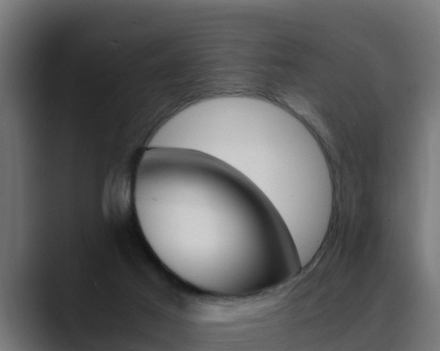 X0000089890021200706281119