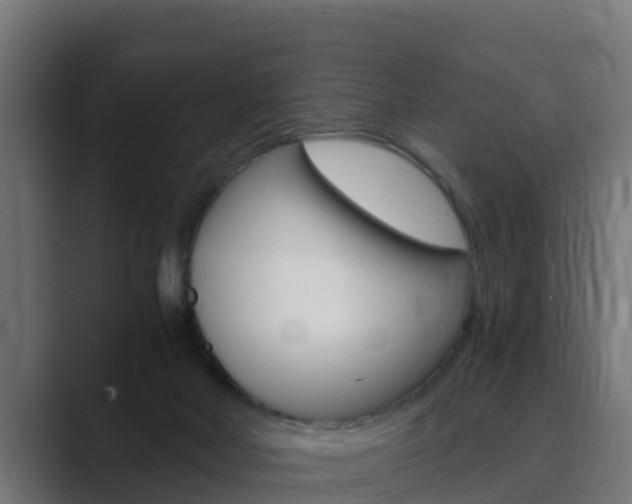 X0000089890026200706281119