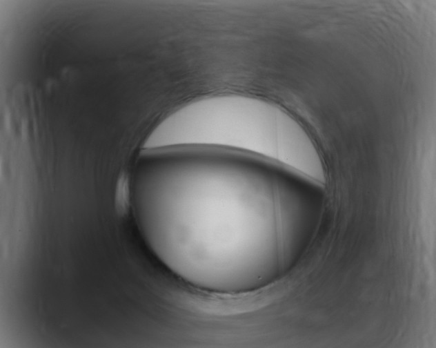 X0000089890027200706281119