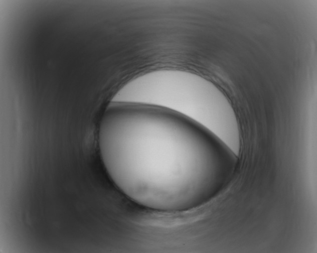 X0000089890029200706281119