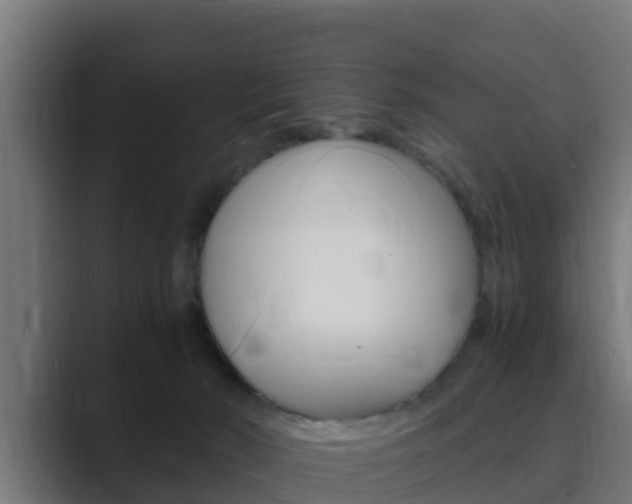 X0000089890030200706281119
