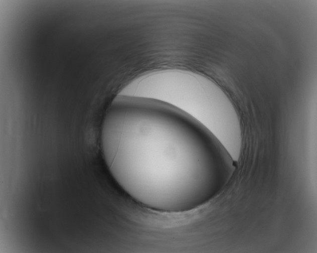X0000089890031200706281119