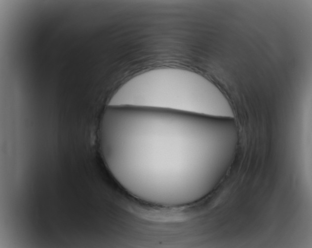 X0000089890032200706281119