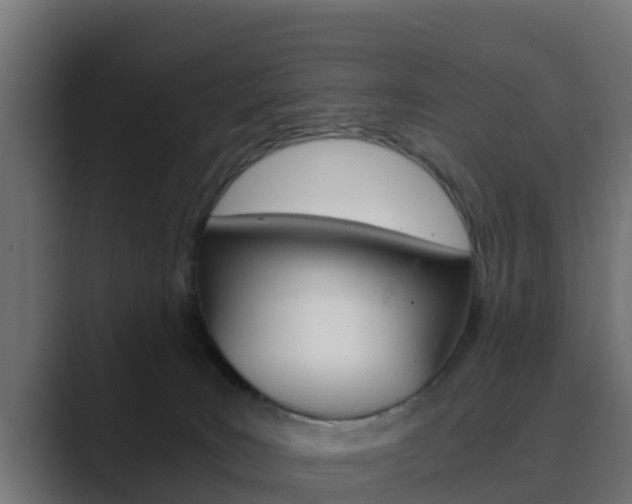 X0000089890035200706281119